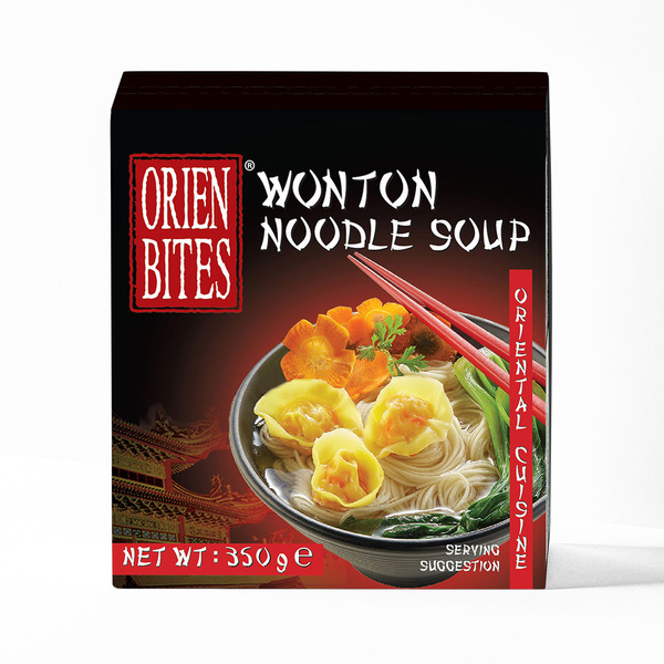 WONTON NOODLE SOUP 350gr