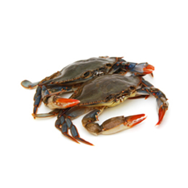 soft shell crab hotel - raw 1000gr